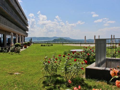 Roof garden with lawn and roses